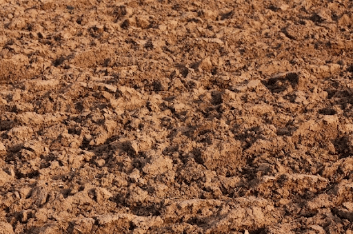 Acidic Soil