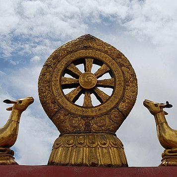 Dharma chakra wheel