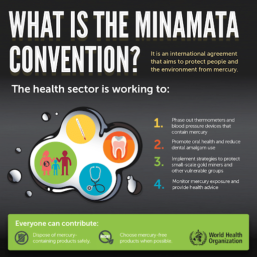 Minamata Convention on Mercury