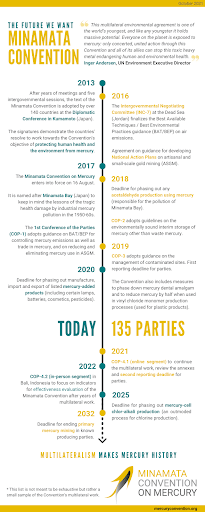 Timeline of Minamata Convention
