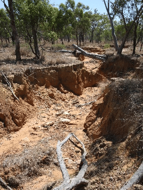 Gully Erosion