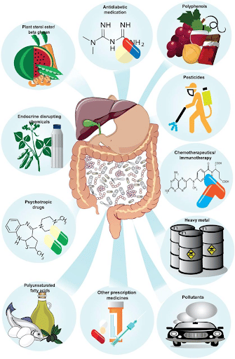 Xenobiotic Compounds