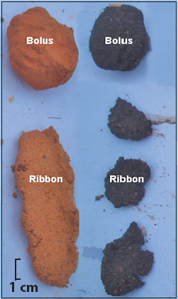 Manipulation of Soil During Field texturing