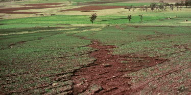 Sheet Erosion - Agriculture Notes