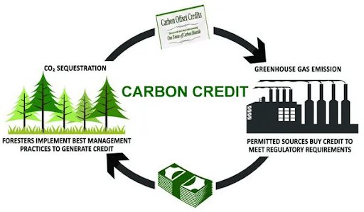 Carbon Credit