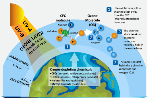 Stratospheric Ozone