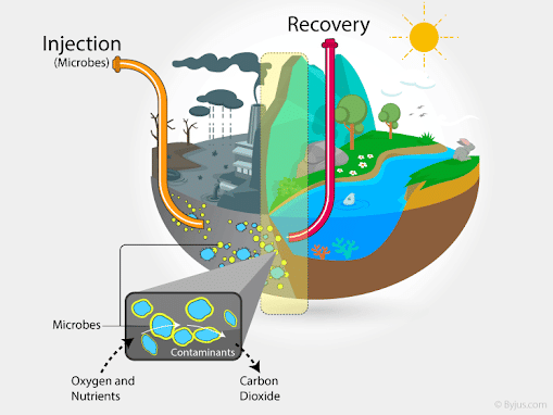 Process of Bioremediation