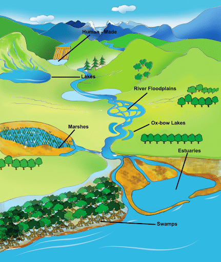 river floodplains, Oxbow Lakes, Estuaries
