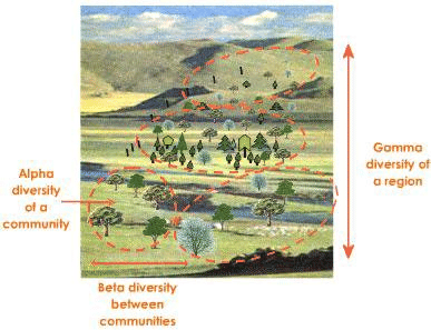 Species Richness