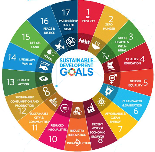 17 Sustainable Development Goals