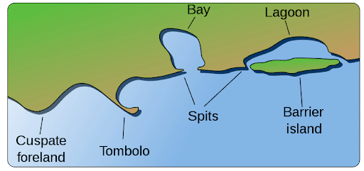 Depositional Landforms due to Waves