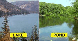 Inland Wetlands - Environment Notes