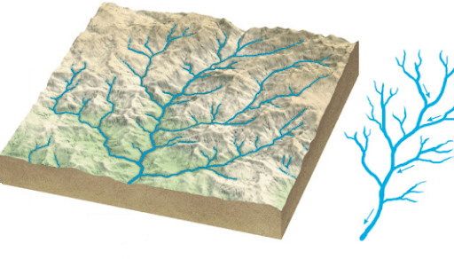 Types of Drainage Pattern - Drainage Systems - Geography Notes