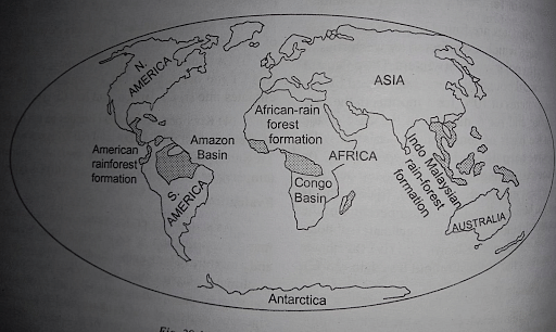 Tropical Evergreen Climate/ Rainforest Climate