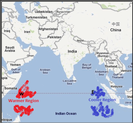 Western Indian Ocean is warmer when Eastern Indian Ocean is Cooler