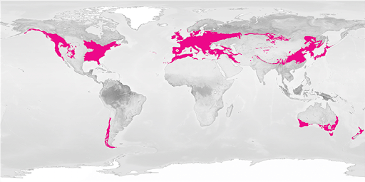 Distribution of Temperate Deciduous Forest