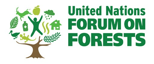 United Nations Forum On Forests