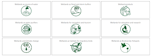 Values and benefits of wetlands