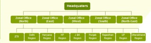 Organisational Structure