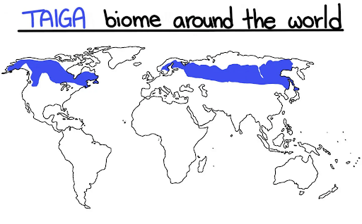Distribution of Coniferous Forests