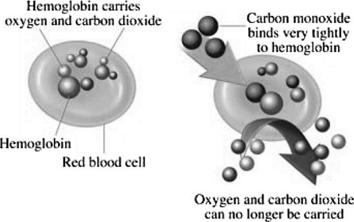 Carbon Monoxide and Hemoglobin