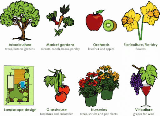 Horticultural Activities