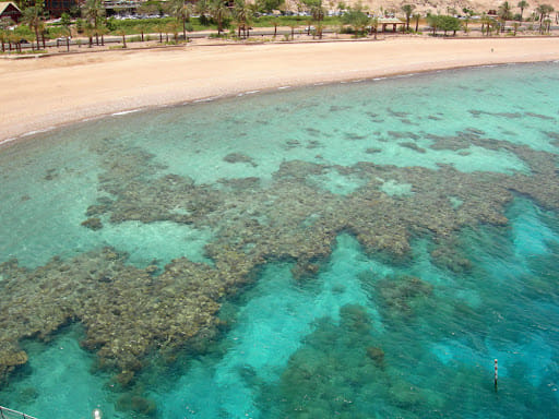 Fringing Reefs