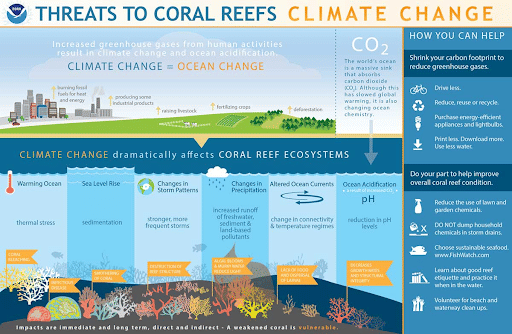 Climate Change as a Threat to Coral Reefs