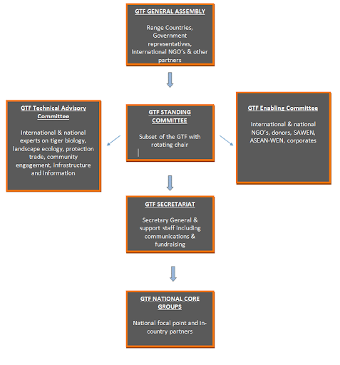 Structure of the Global Tiger Forum