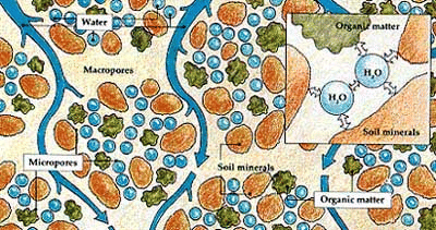 Composition of a typical Soil