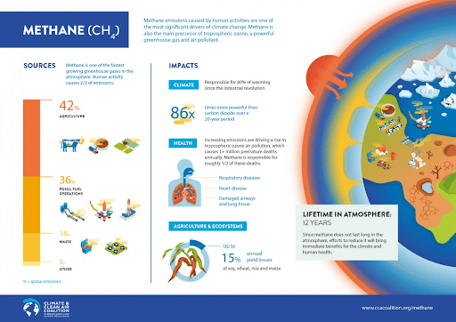 Sources and Impact of Methane