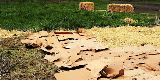 Sheet Mulching