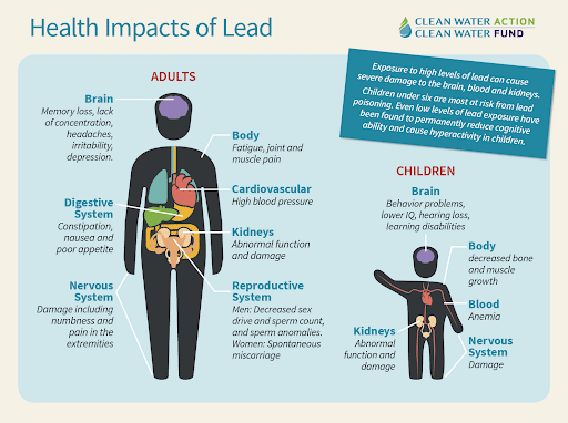 Harmful Effects of Lead