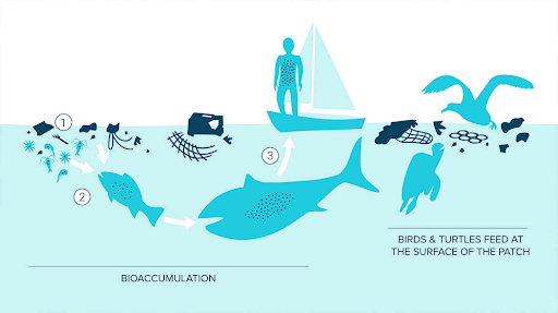 Sources of Plastic Pollution