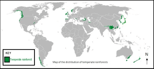 Distribution of Temperate Rainforests