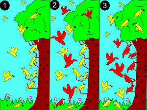 An Illustration of Competition Among Birds