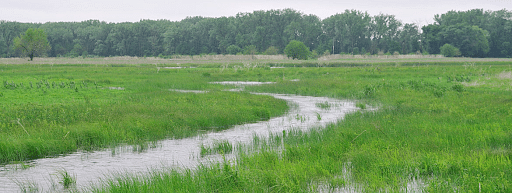 Wetland Farming - Agriculture Notes