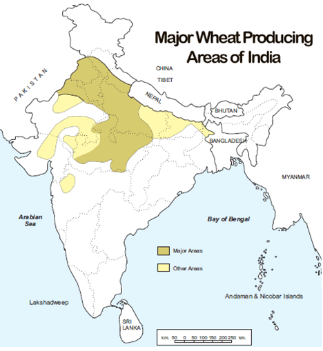 Wheat Producing States