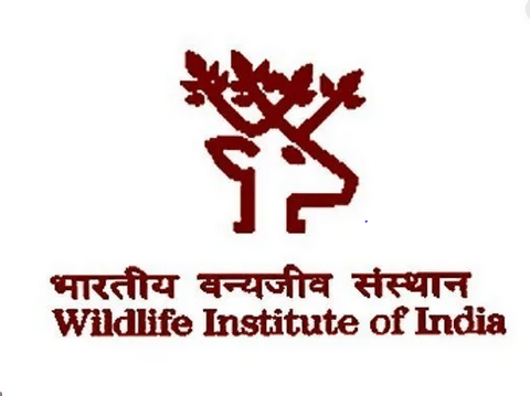 Wildlife Institute of India - Logo