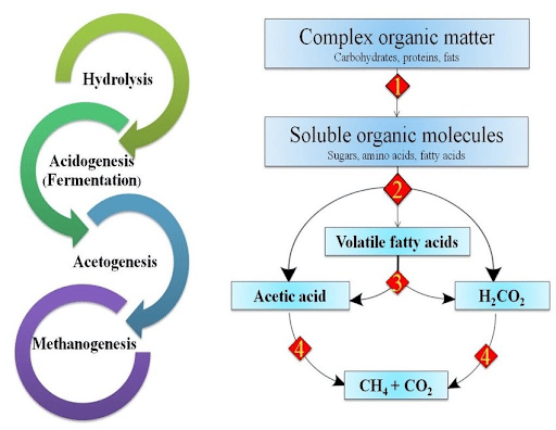 Process of Anaerobic Digestion