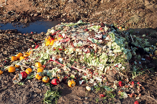 Agricultural Waste
