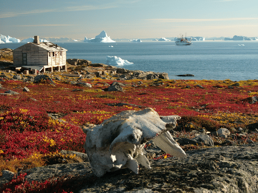 Tundra Climate