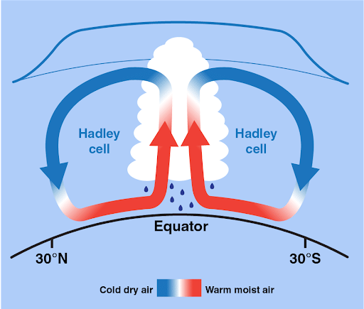 Direction of Trade Winds