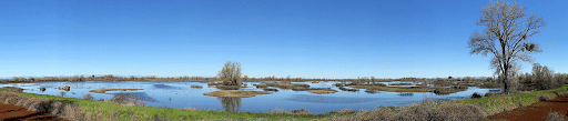 Inland Wetlands - Environment Notes