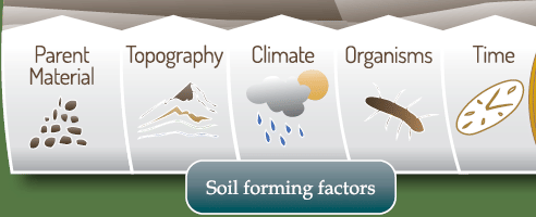 Factors of Soil Formation