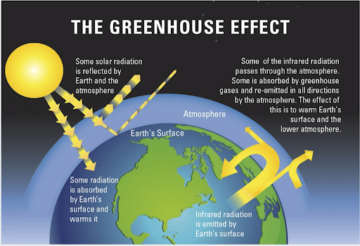 Greenhouse Effect