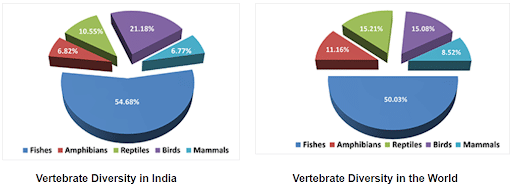 Diversity of Vertebrates