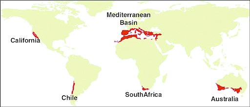 Mediterranean Climate Regions