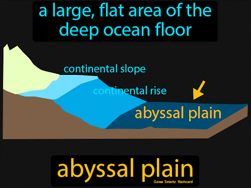 Abyssal Plain