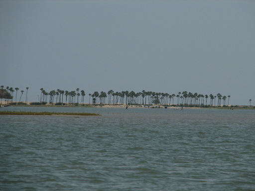 Pulicat Lake - Salt water Lake